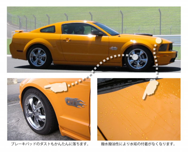 mustang_fluoro.jpg