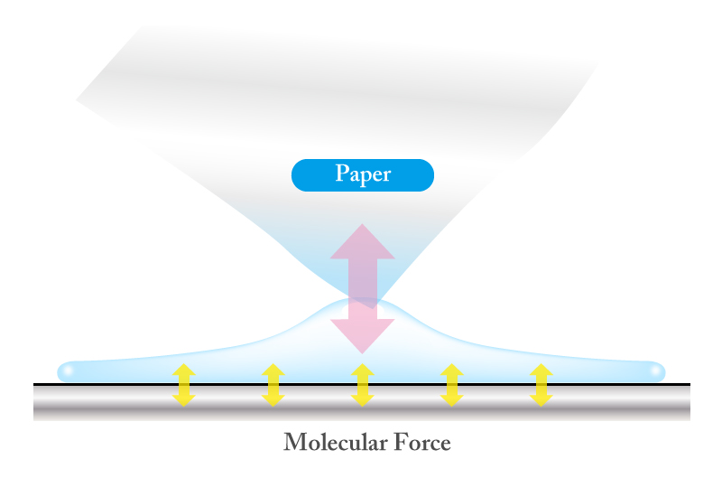 molecular force