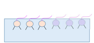 溶解性の異なるタイプ2