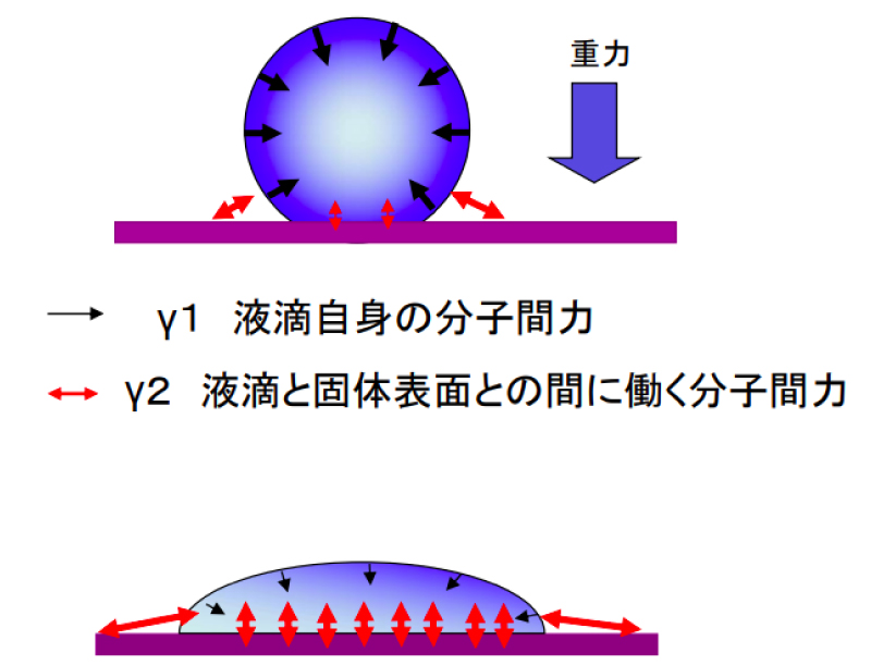 撥水撥油のメカニズム （表面張力）